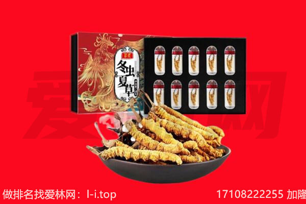 江门市鹤山回收虫草.jpg